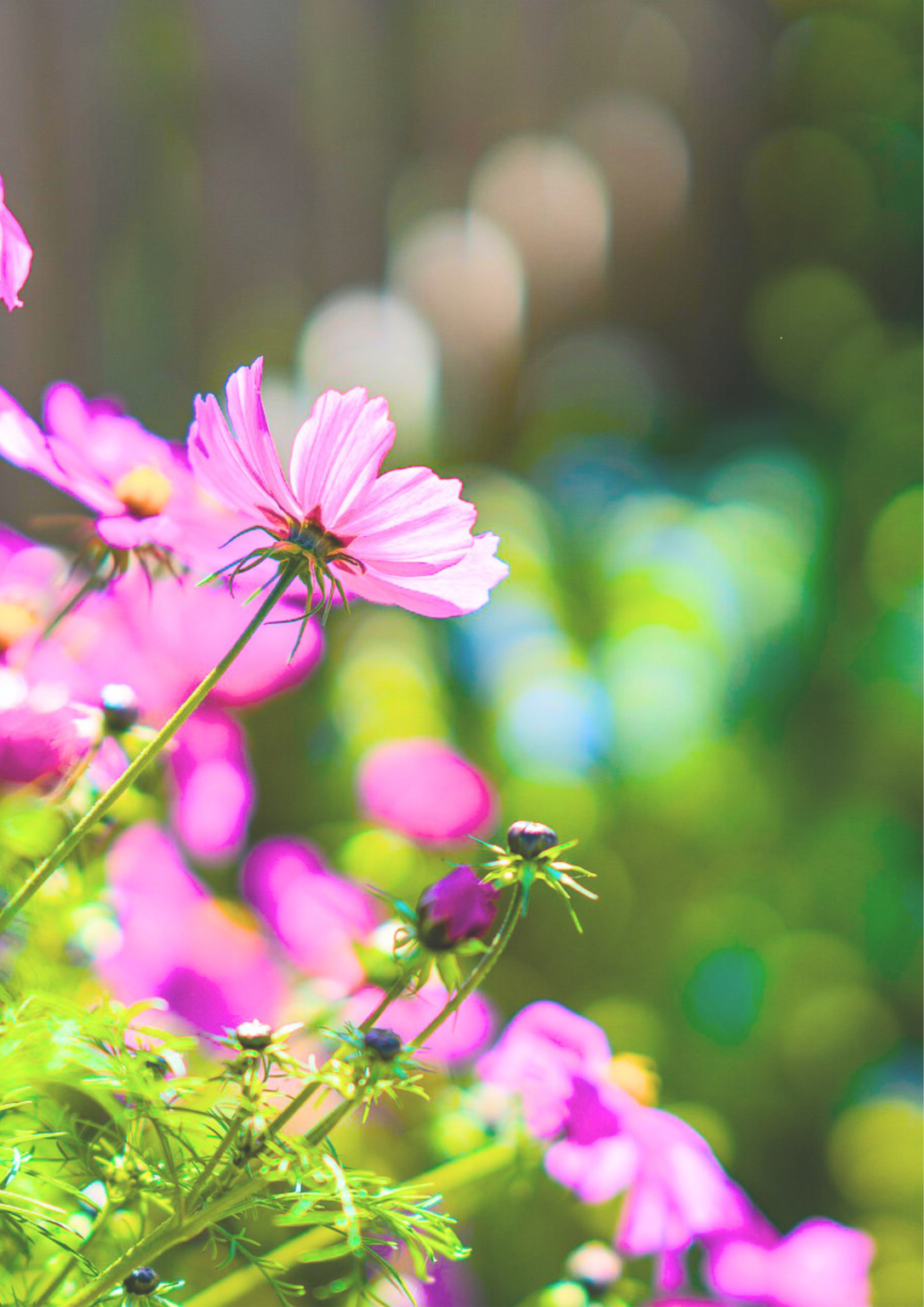 M&ouml;tesplats Tr&auml;dg&aring;rd i V&auml;rmland