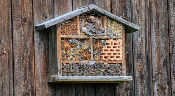 Stadsn&auml;ra gemensamodling - Uppstart Bygga &ndash; allt fr&aring;n insektshotell till f&aring;gelholkar. (4 tillf&auml;llen)